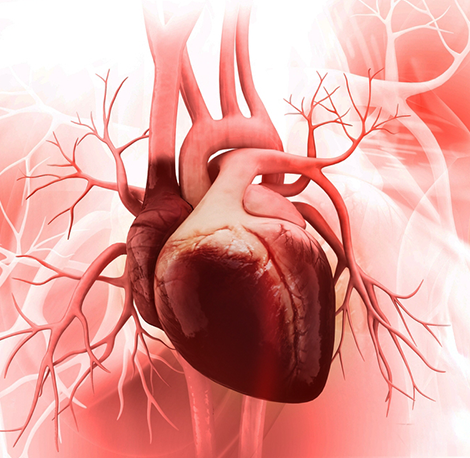 anaortic-total-arterial-off-pump-CABG